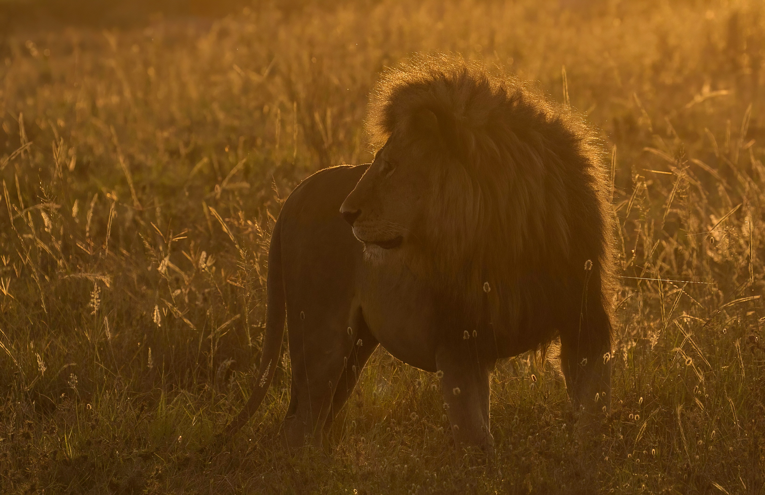 5-Day Best of the Northern Circuit Experience